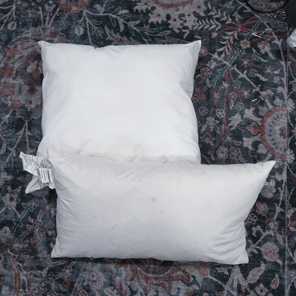 Crate&Barrel Set of 2 Down and Down Alternative Pillows - Square and Rectangle - Picture 1 of 11
